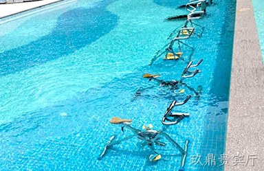 泰州菲麦斯健康科技有限公司
